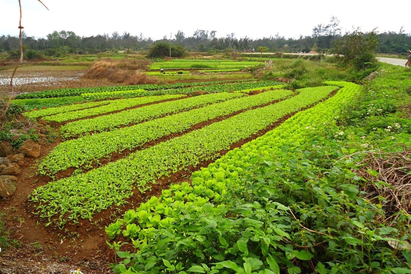 Green Agriculture in Environmental Protection and Climate Change Mitigation
