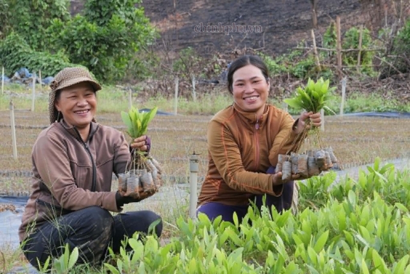 how science and technology are unlocking new potential for vietnam ??s agri exports