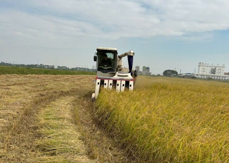 nam thanh cooperative  a model of innovation for green agriculture