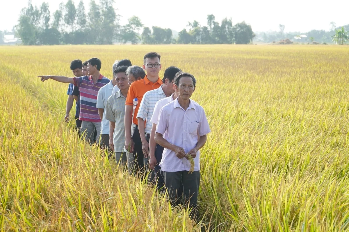 Pioneering farmers think differently and act differently to grow rice with lower emissions.