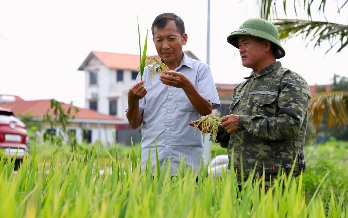 shaping the emissions reduction framework for vietnamese agriculture