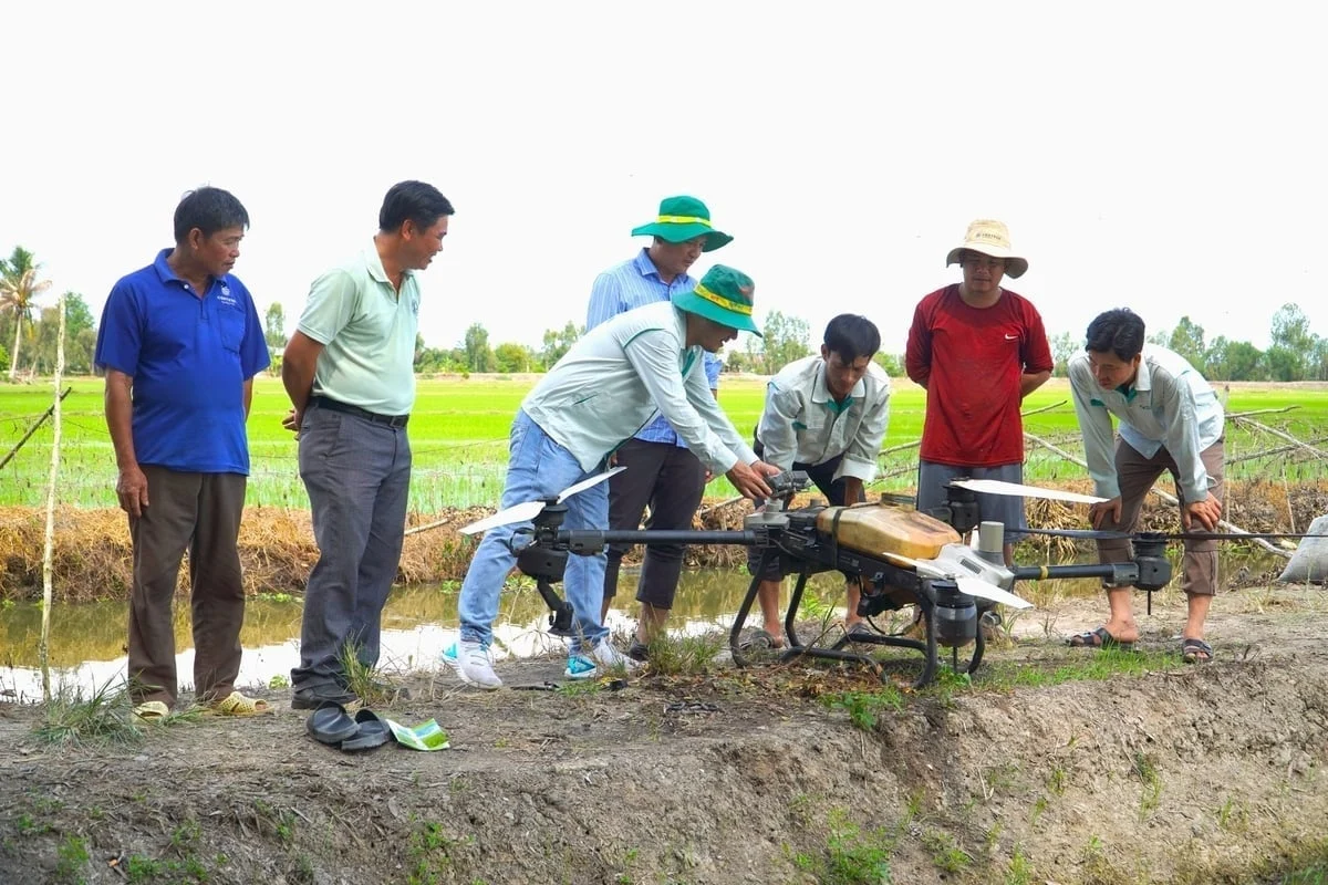 solutions for developing green agriculture