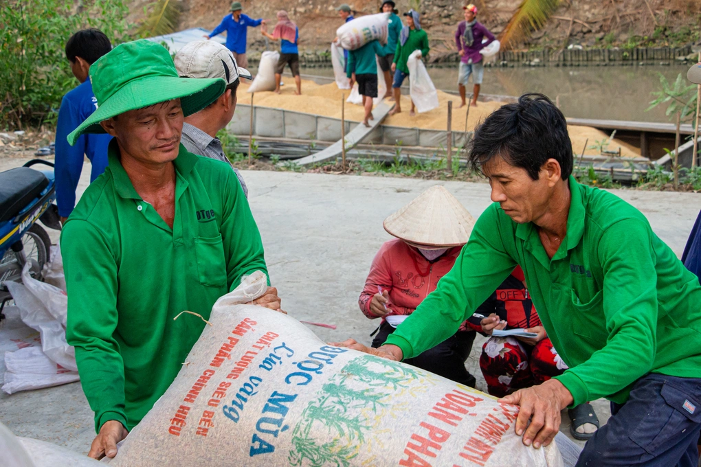 prime minister orders credit boost export market expansion for rice