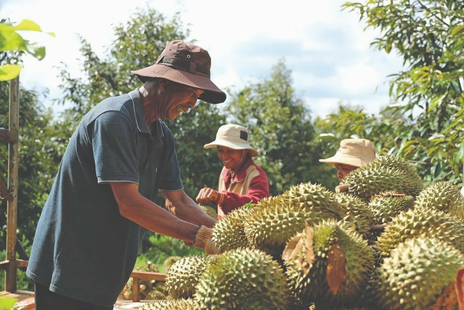 unlocking export growth for agricultural forestry and fishery products