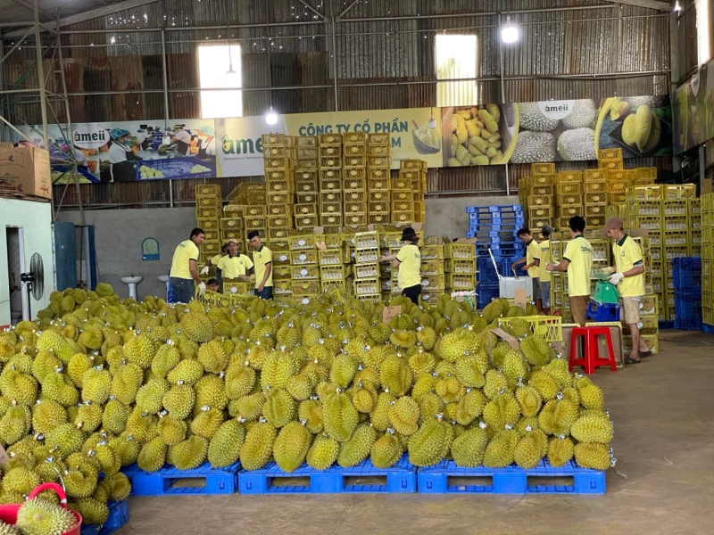 fruit and vegetable exports exceed  1 billion for three consecutive months